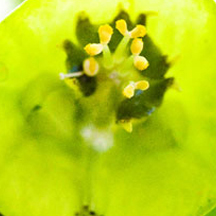 服务器攻击方式